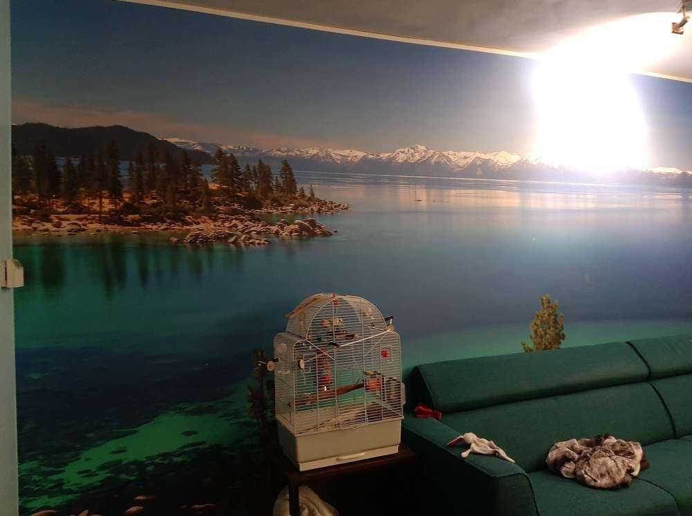 Brighter lake