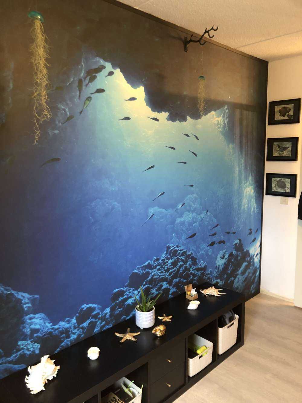 Underwater cave with fish