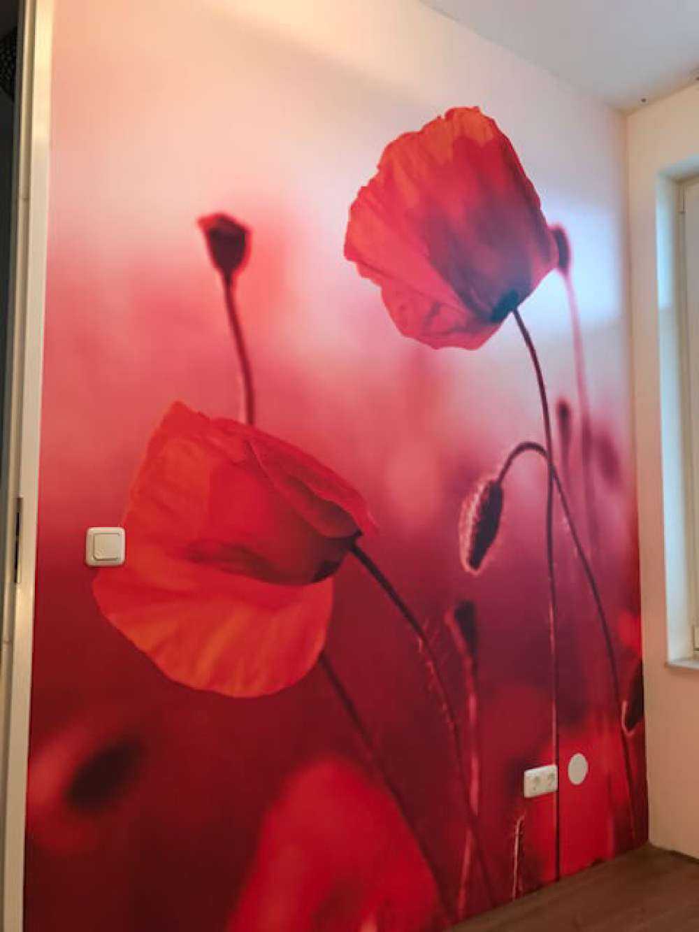 Poppies in the meadow