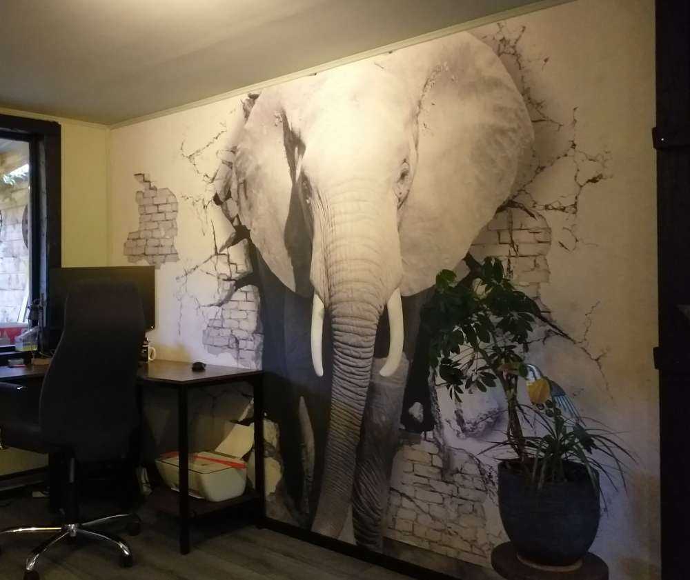 3D Elephant from the wall