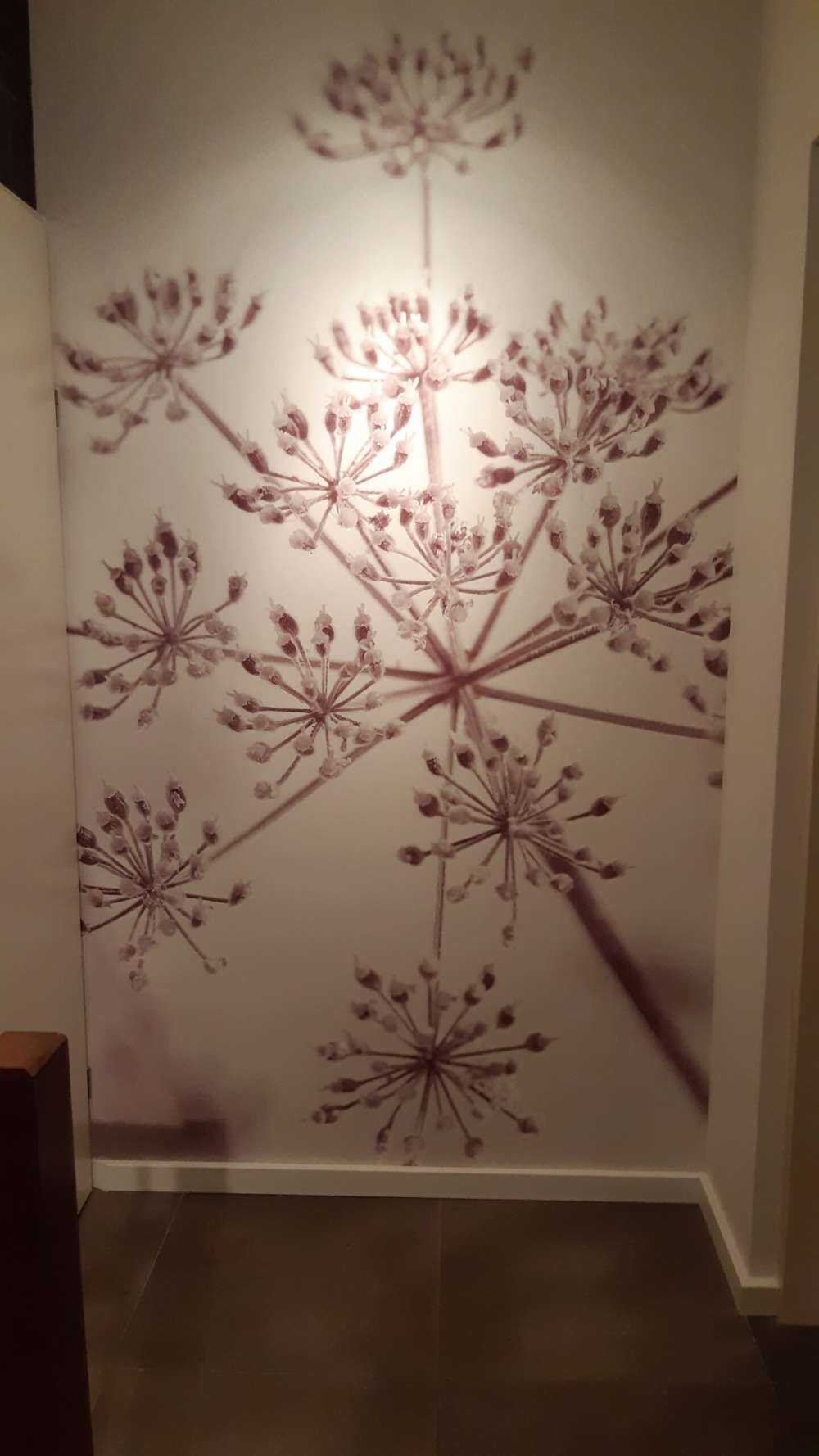 Close-up cow parsley