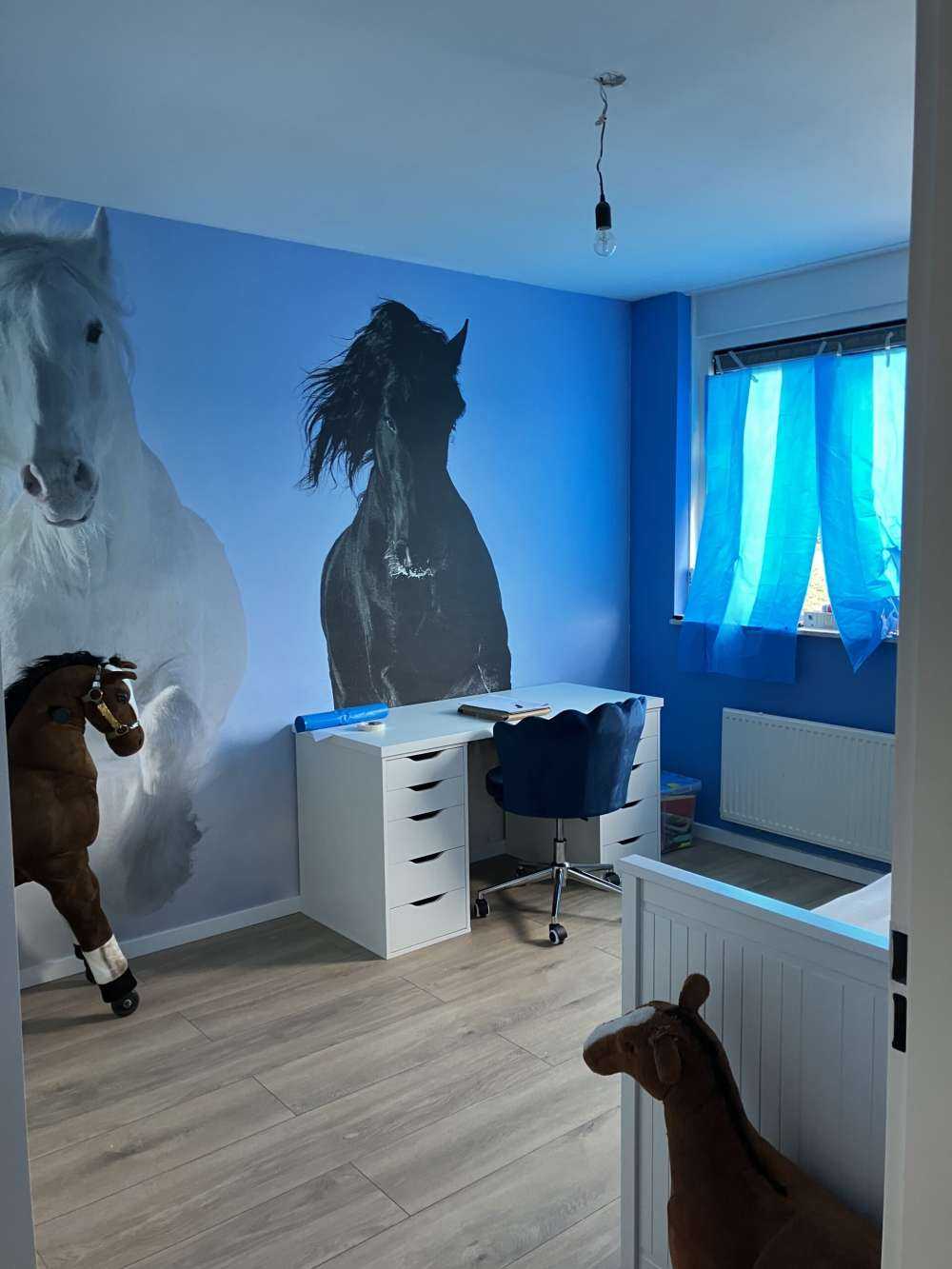 White and a black horse