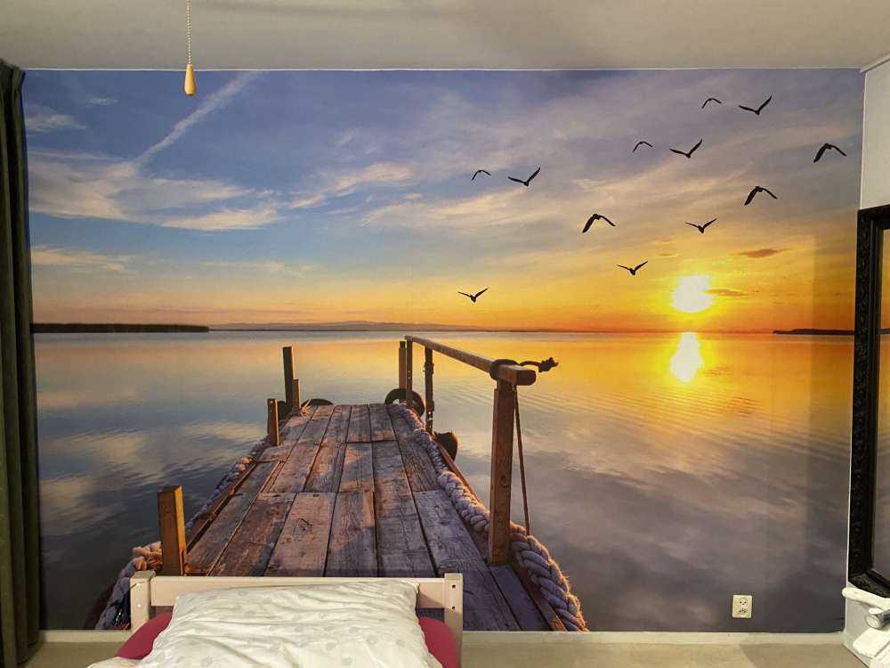 Birds above the sea