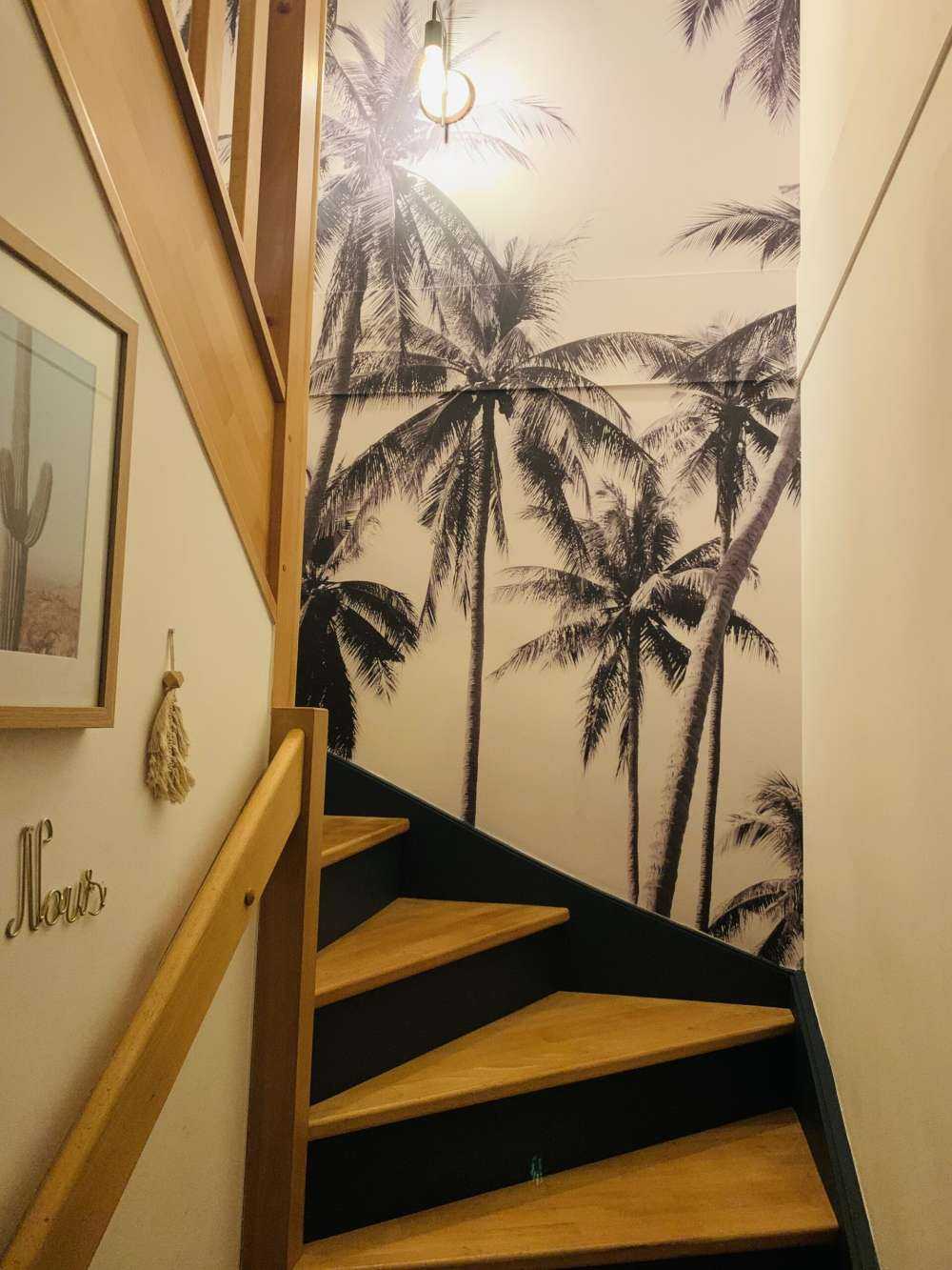 Palm trees in black and white