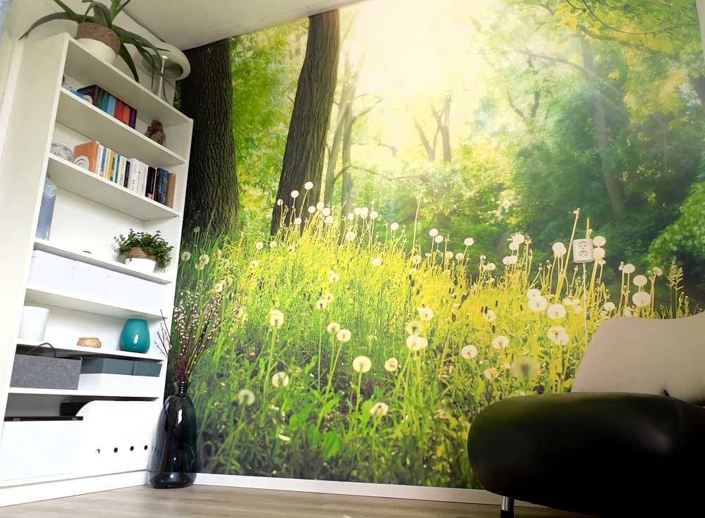 Dandelions
