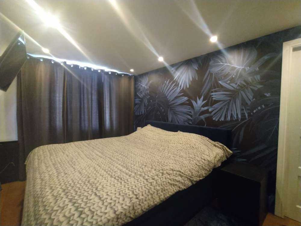 Blue tropical leaves