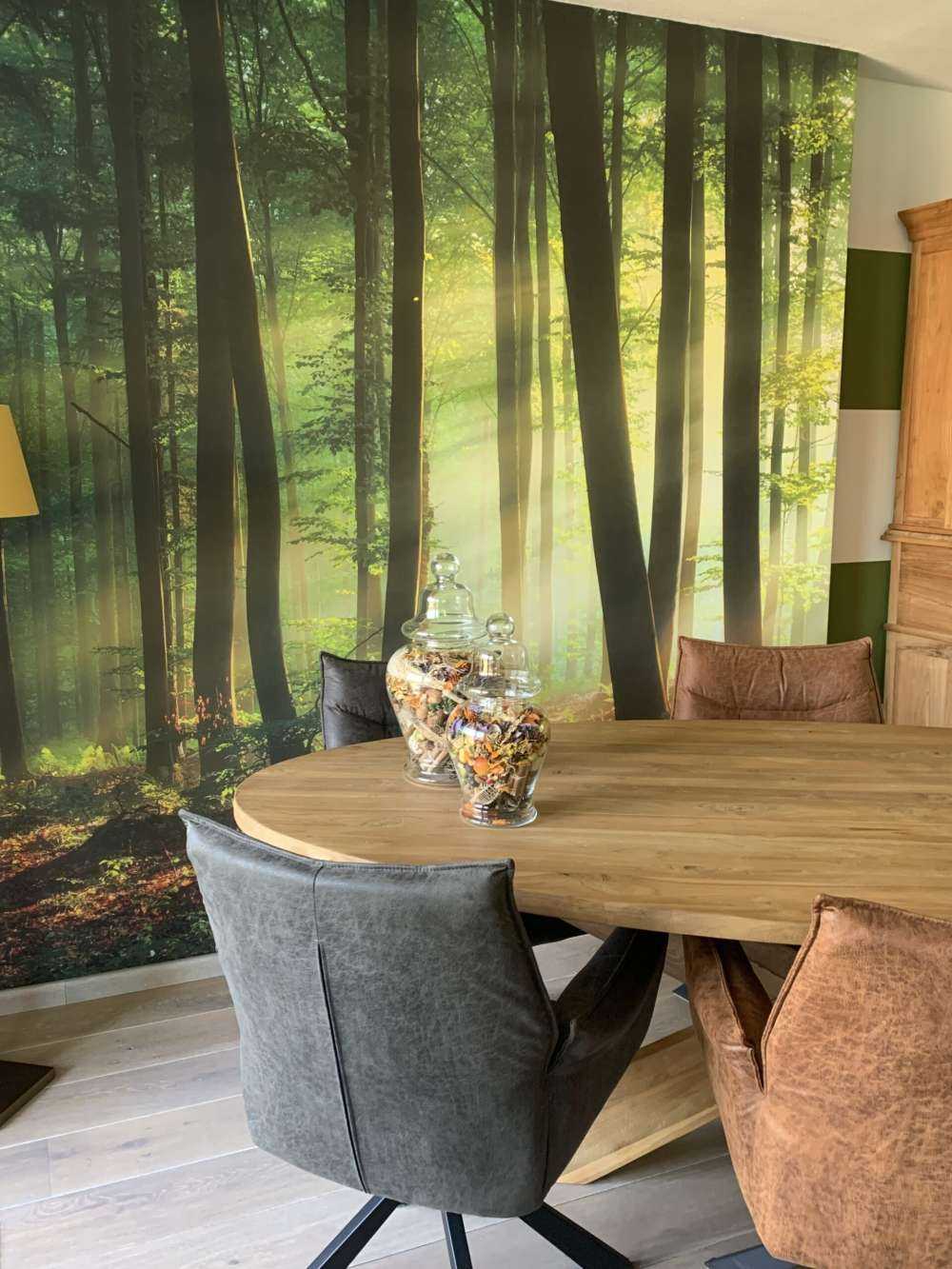 Morning sun among the trees