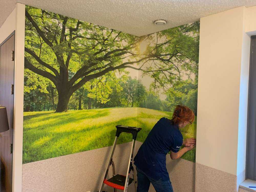 Beautiful tree with green grass