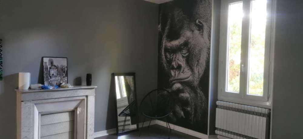 Close-up picture of a gorilla