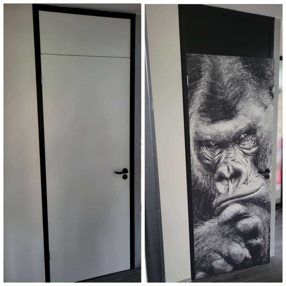 Close-up picture of a gorilla