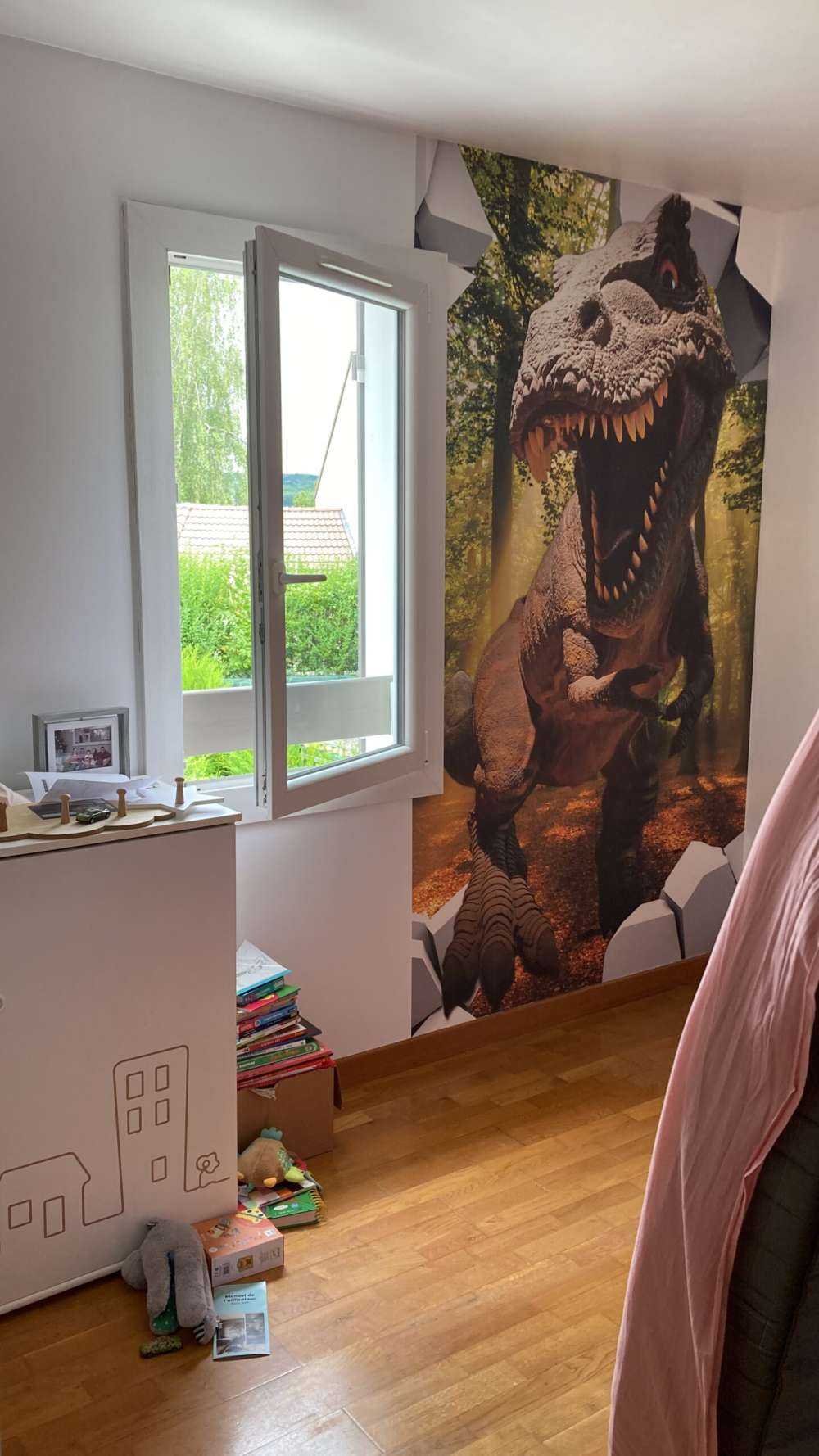 Dino in a wall