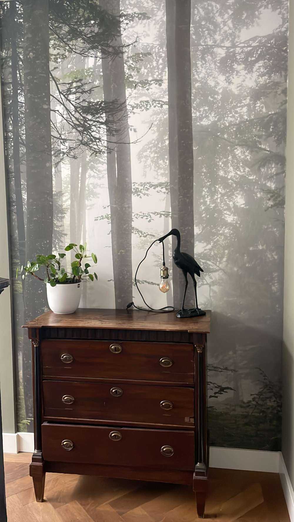 Beautiful foggy landscape