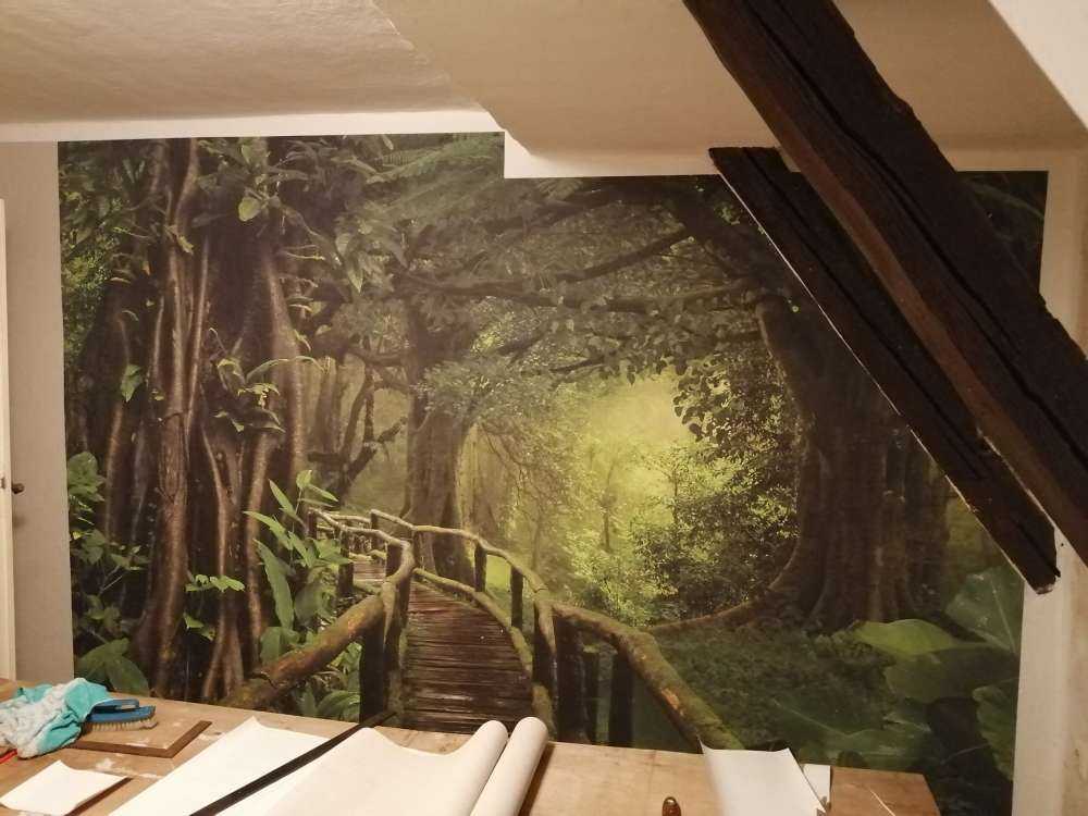 Wooden bridge through a green jungle