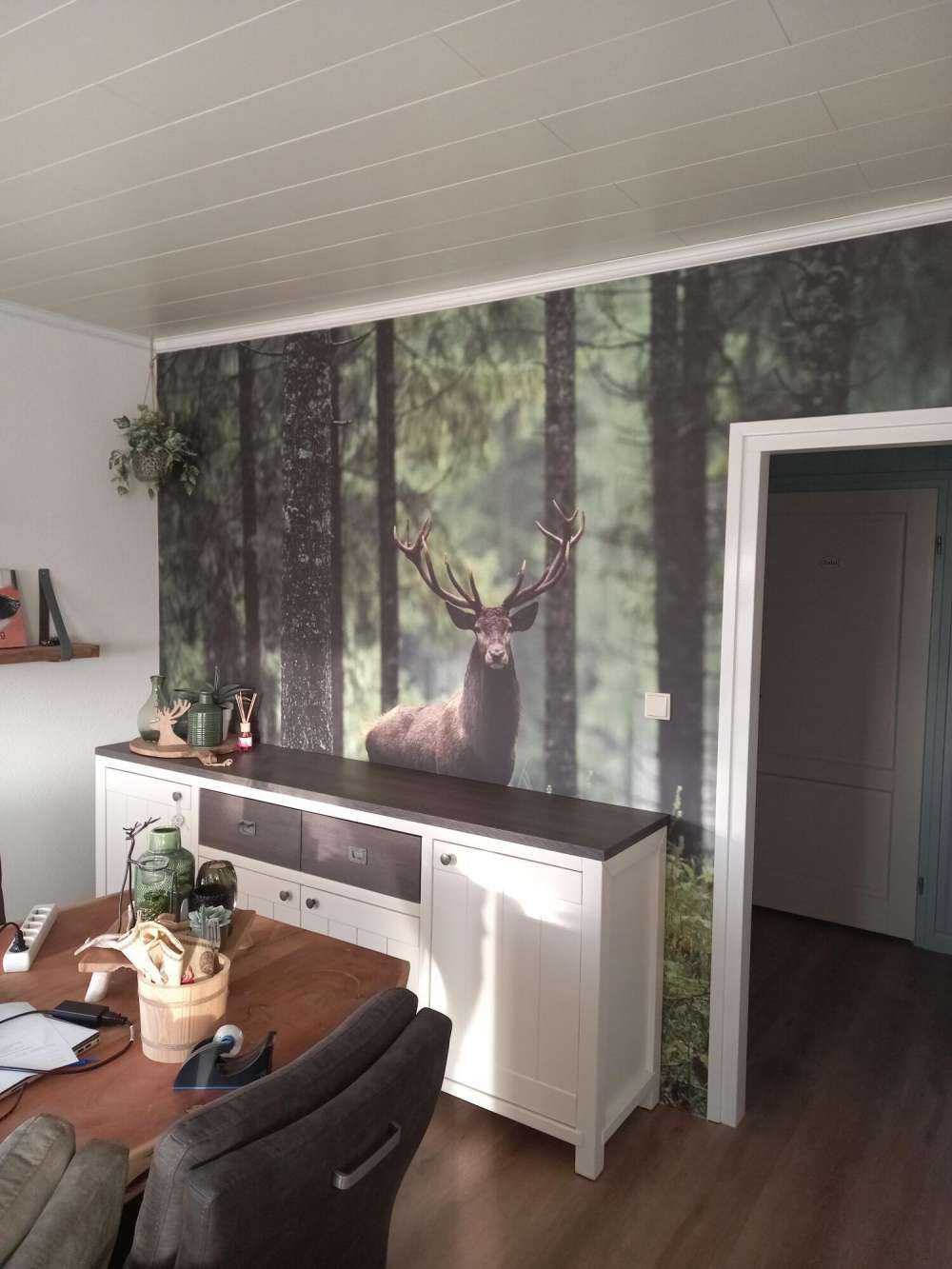 Big deer between trees