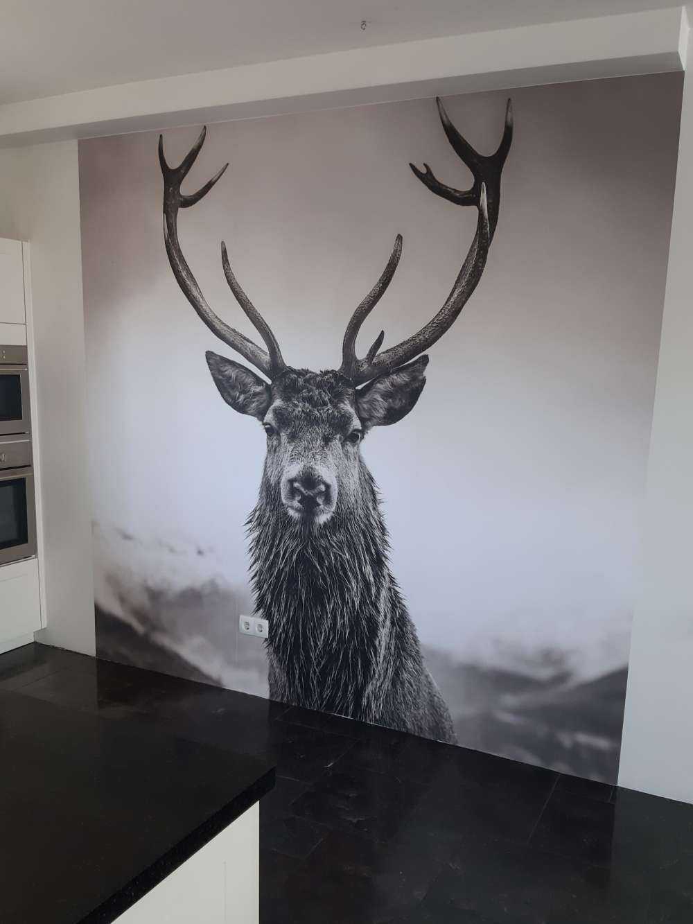 Big deer