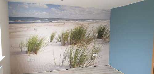 Beach with dune plants