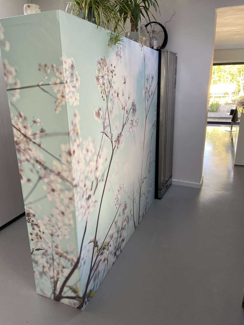 Almond blossom in the sun