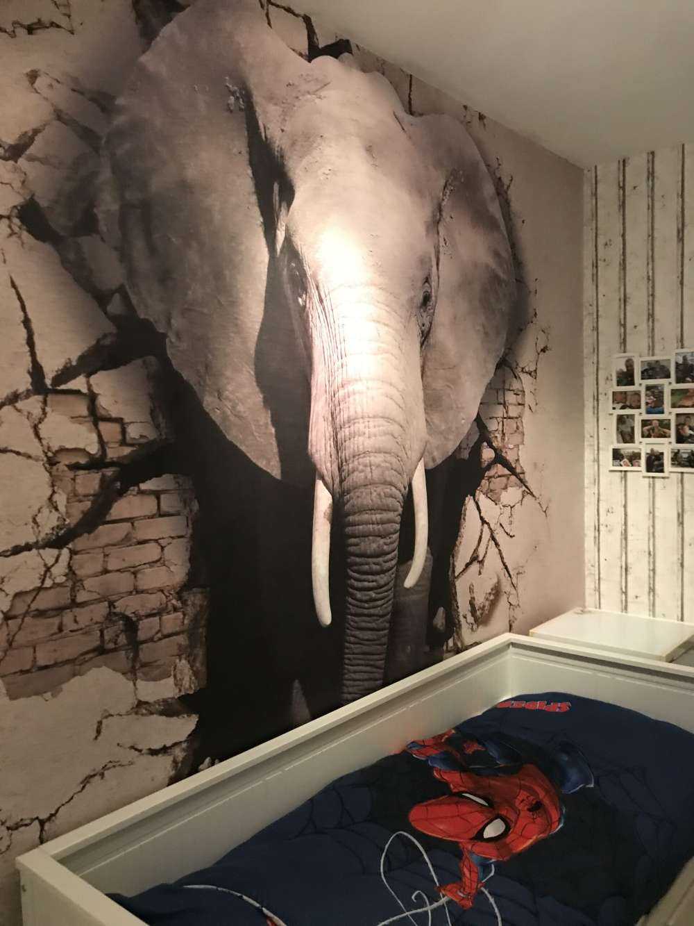 3D Elephant from the wall