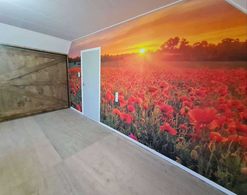 Flowering poppy field