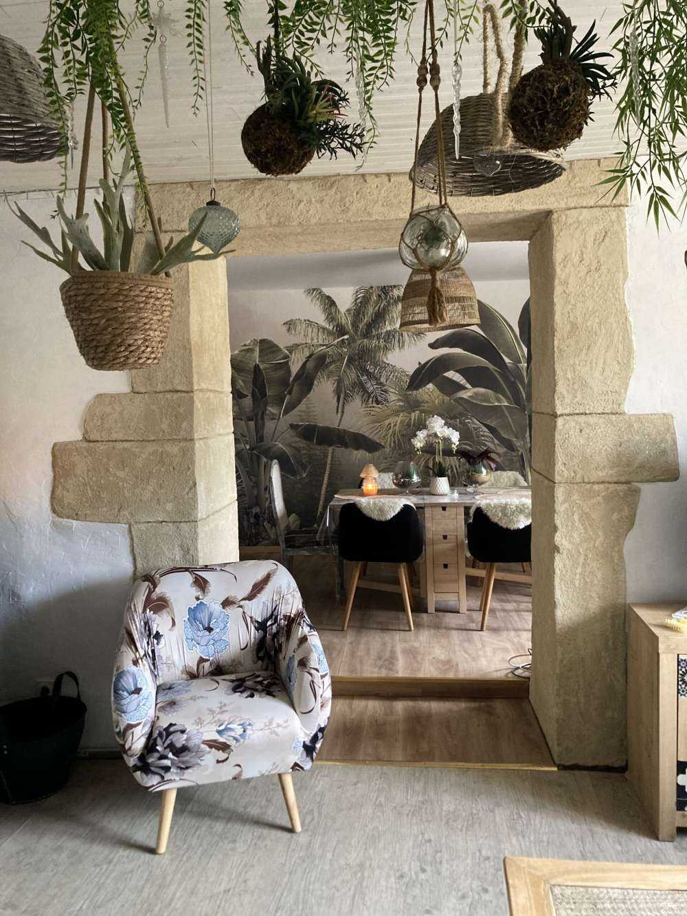 Tropical Mist Forest