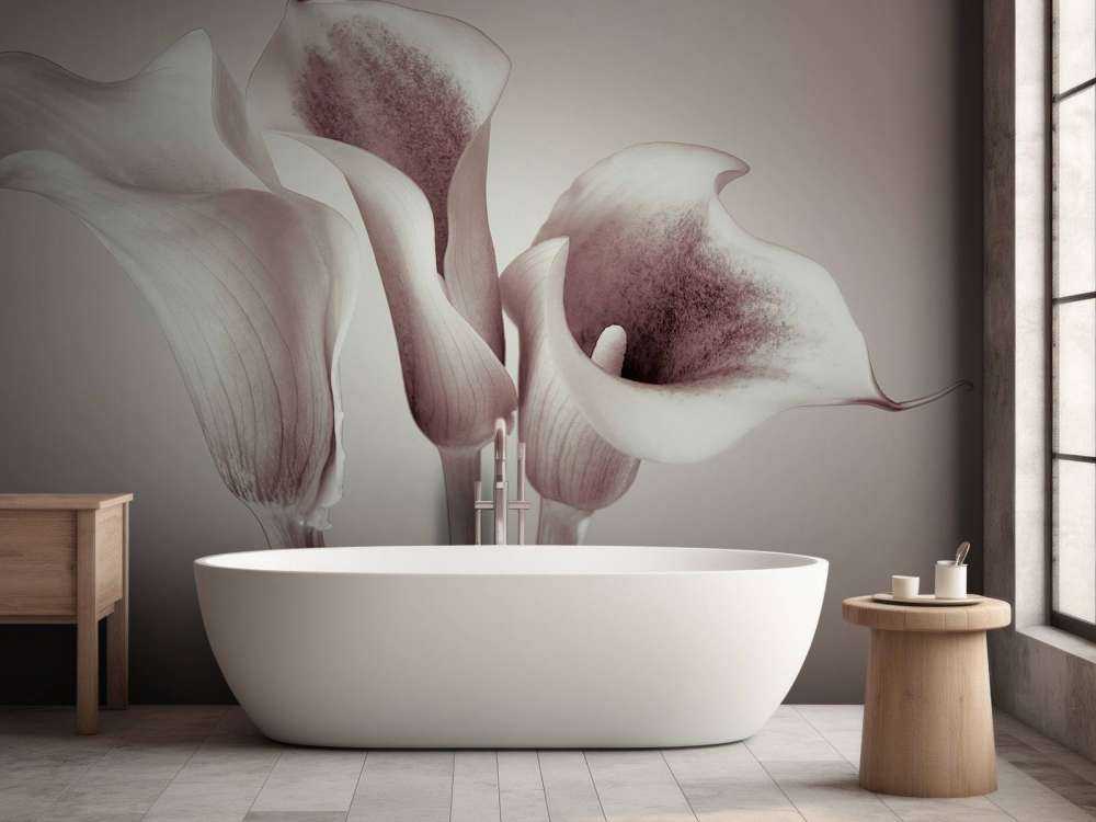 Calla Lys