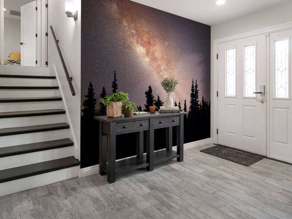 Milky way above silhouette of trees