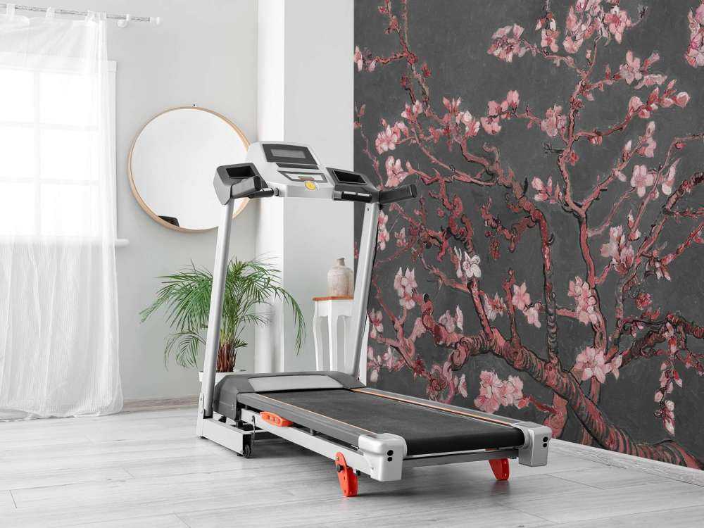 Almond Blossom with a Red Hue