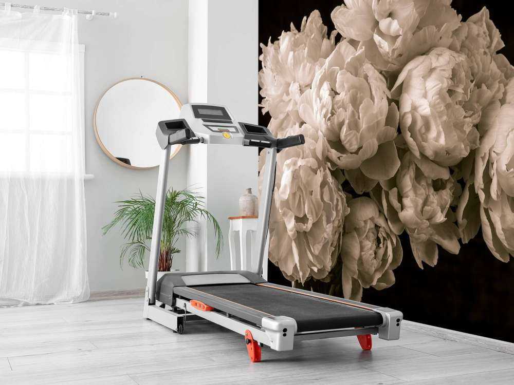 Bunch of peonies vintage