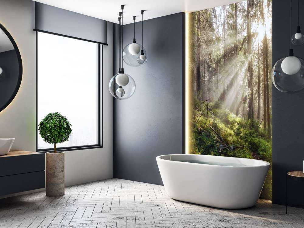 Autumn forest with sunshine