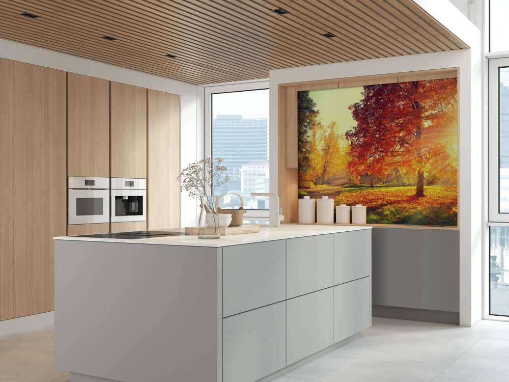 Autumn trees in sunlight