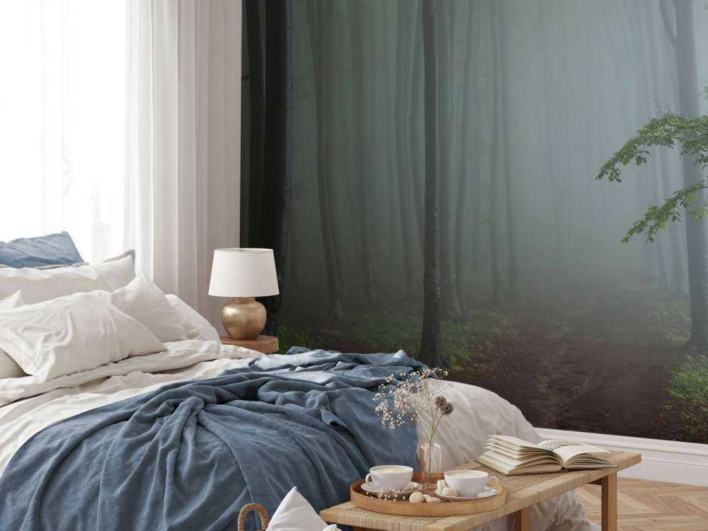 Foggy forest panorama