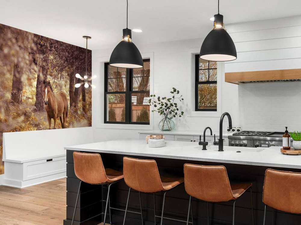 Horse in the wilderness