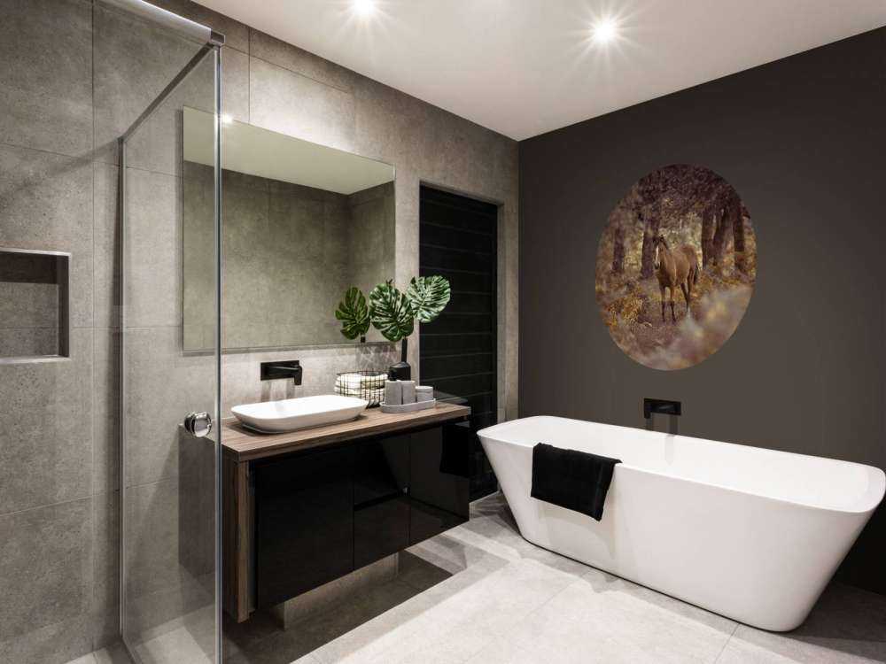 Horse in the wilderness