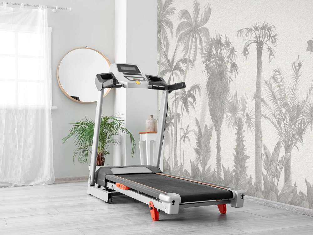 Jungle in shades of grey