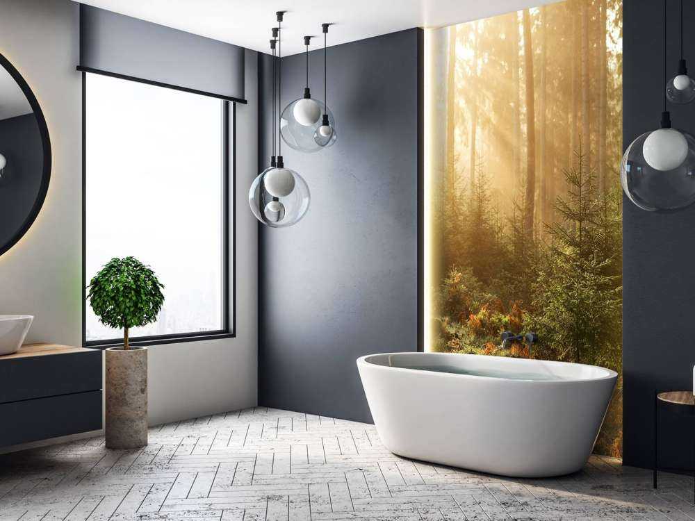 Sunbeams through forest