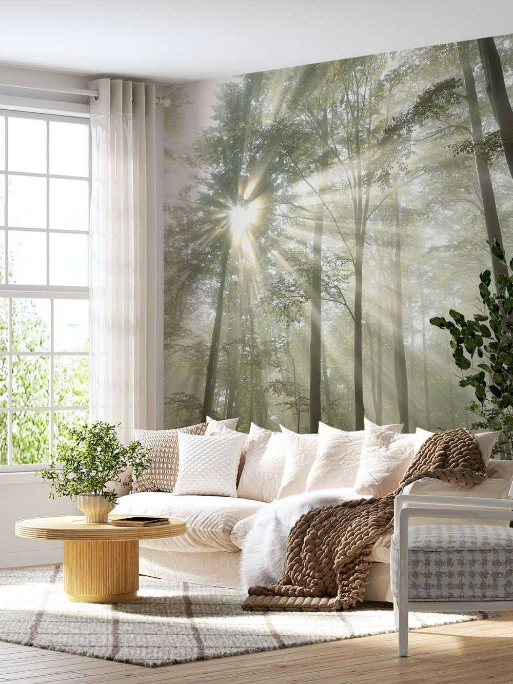 Forest in foggy weather