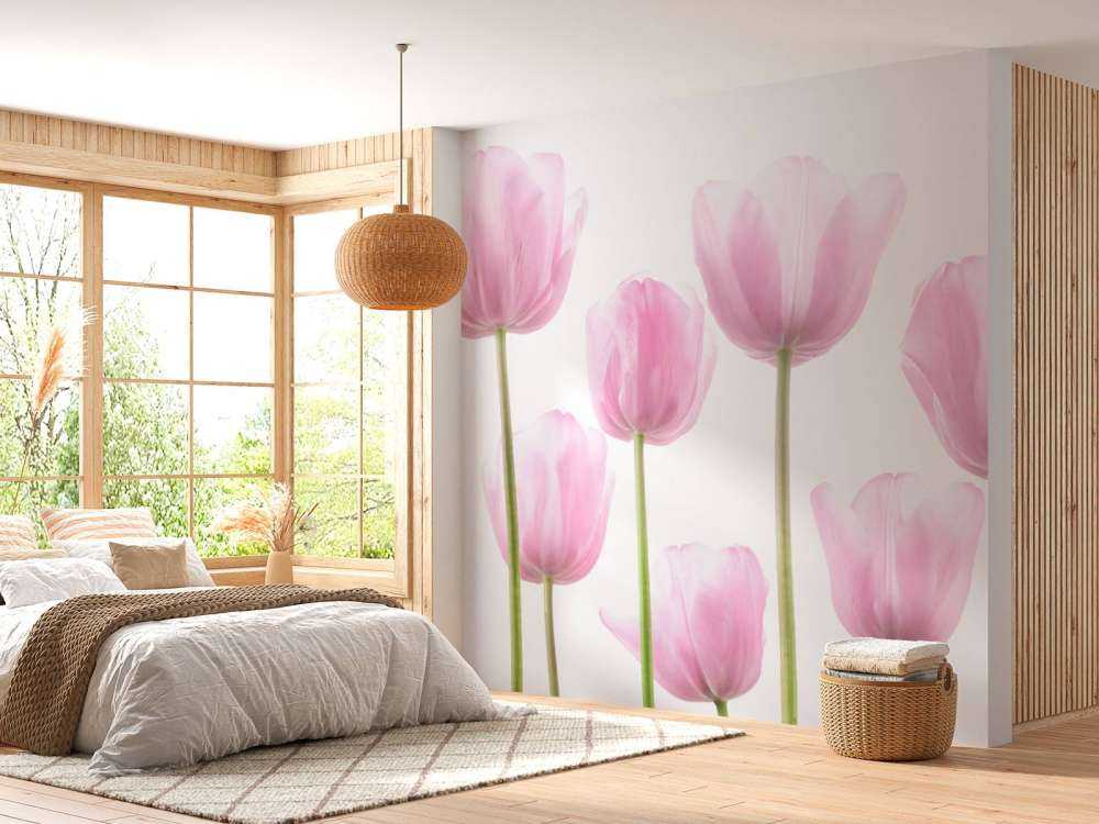 Pink Tulips