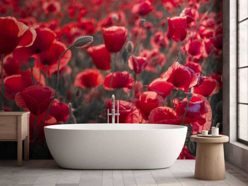 Poppies in dark style