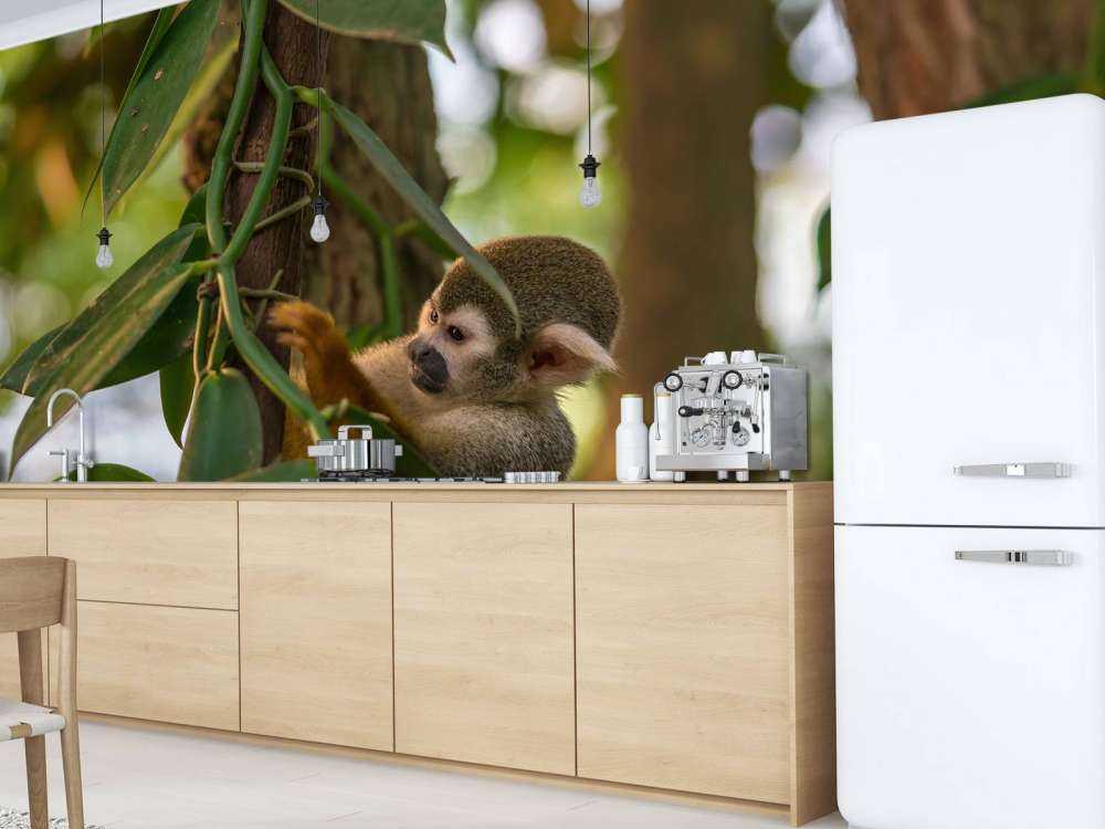 Small monkey in the trees