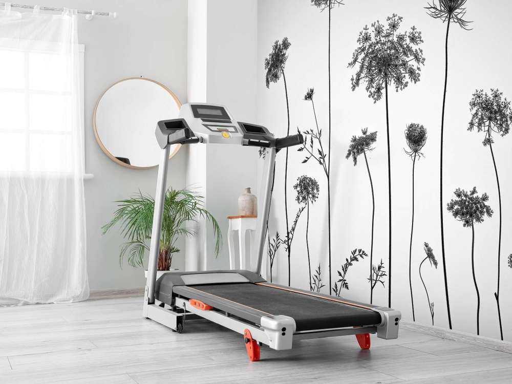 Cow parsley in black and white