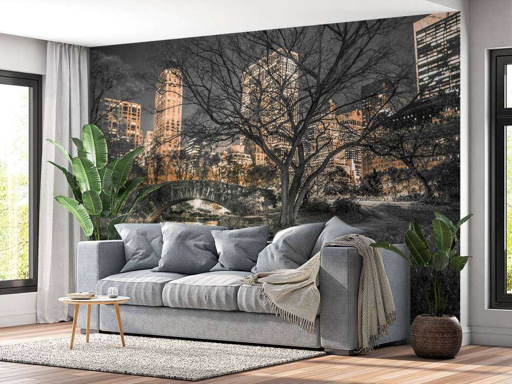 Central park in the evening