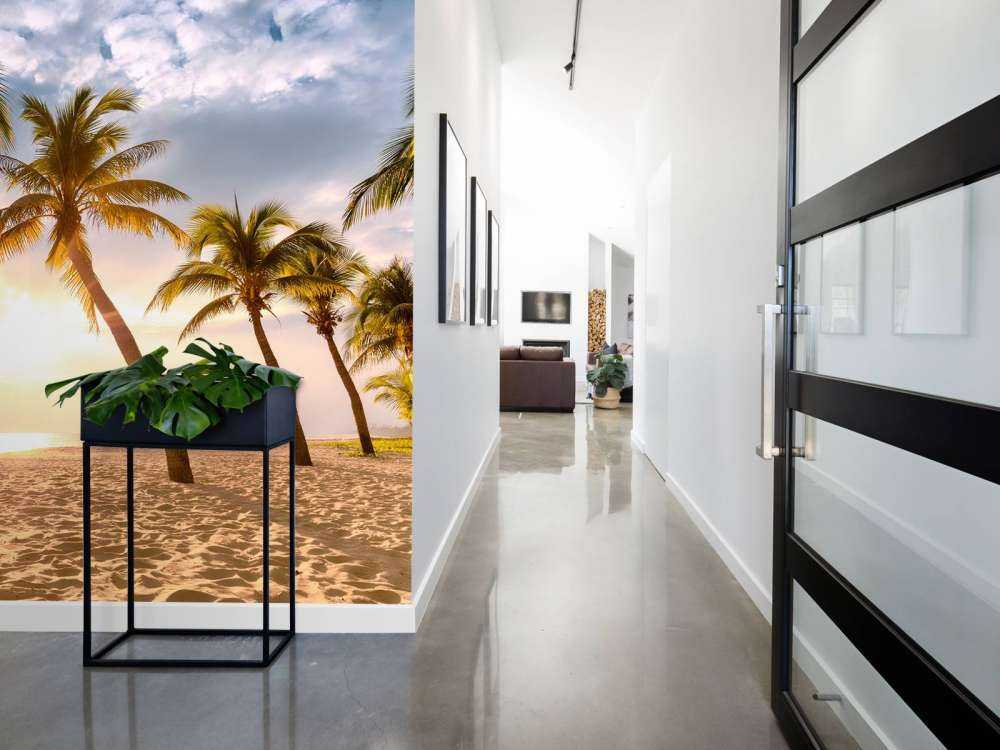 Coconut palms against the sunset