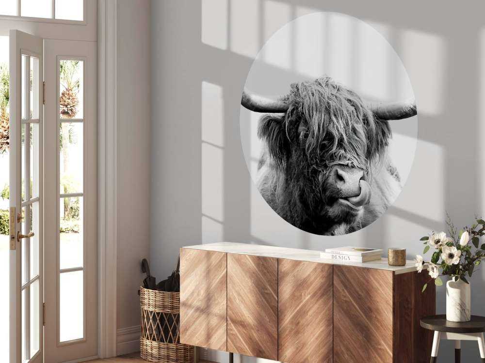 Funny Scottish Highlander