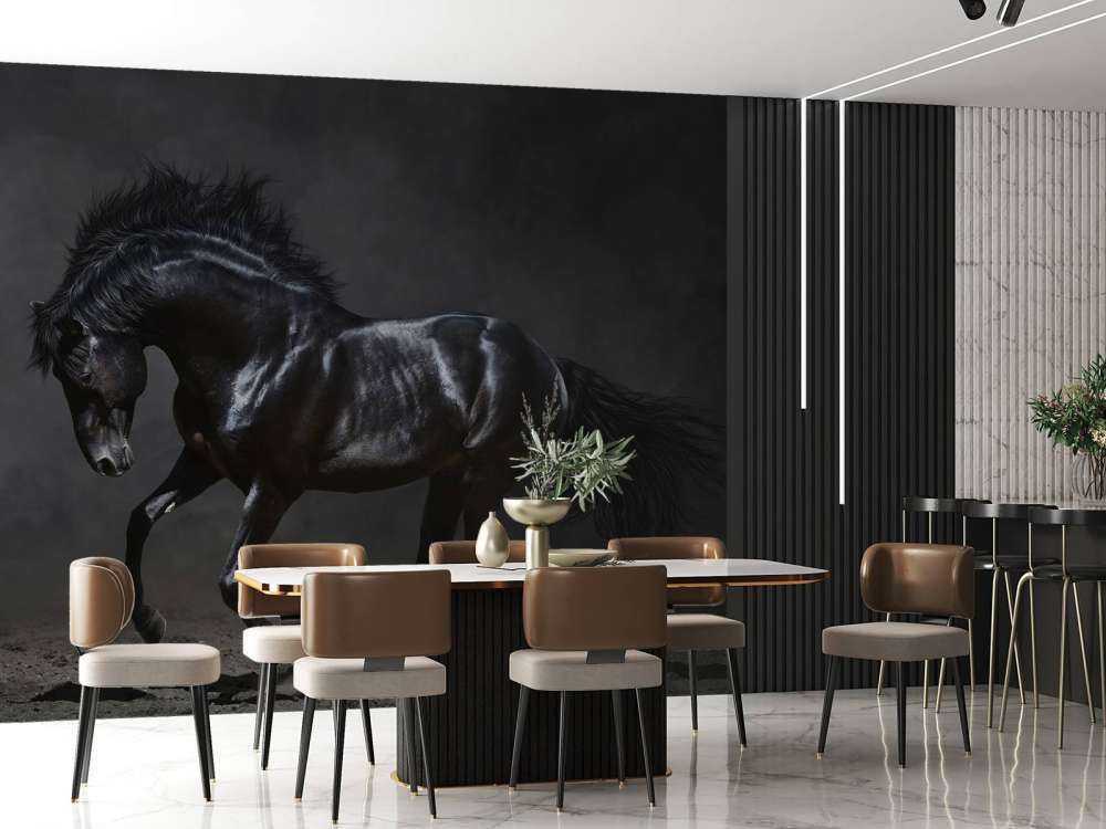 Black stallion