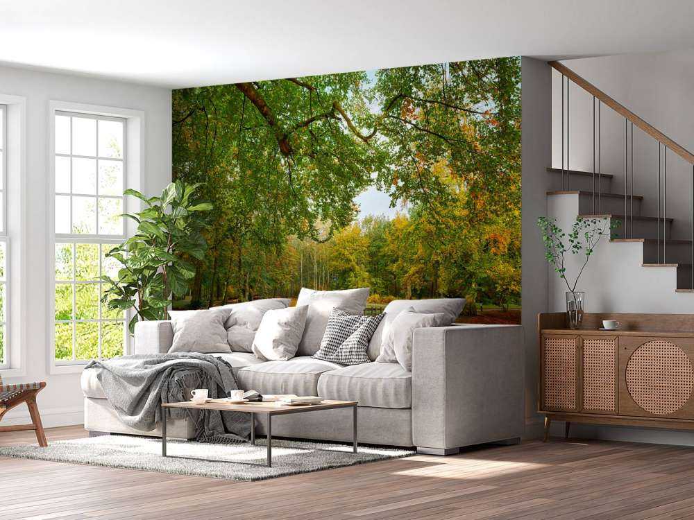 Bridge in the large forest