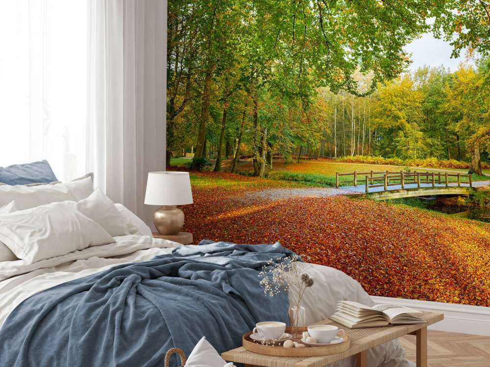 Bridge in the large forest