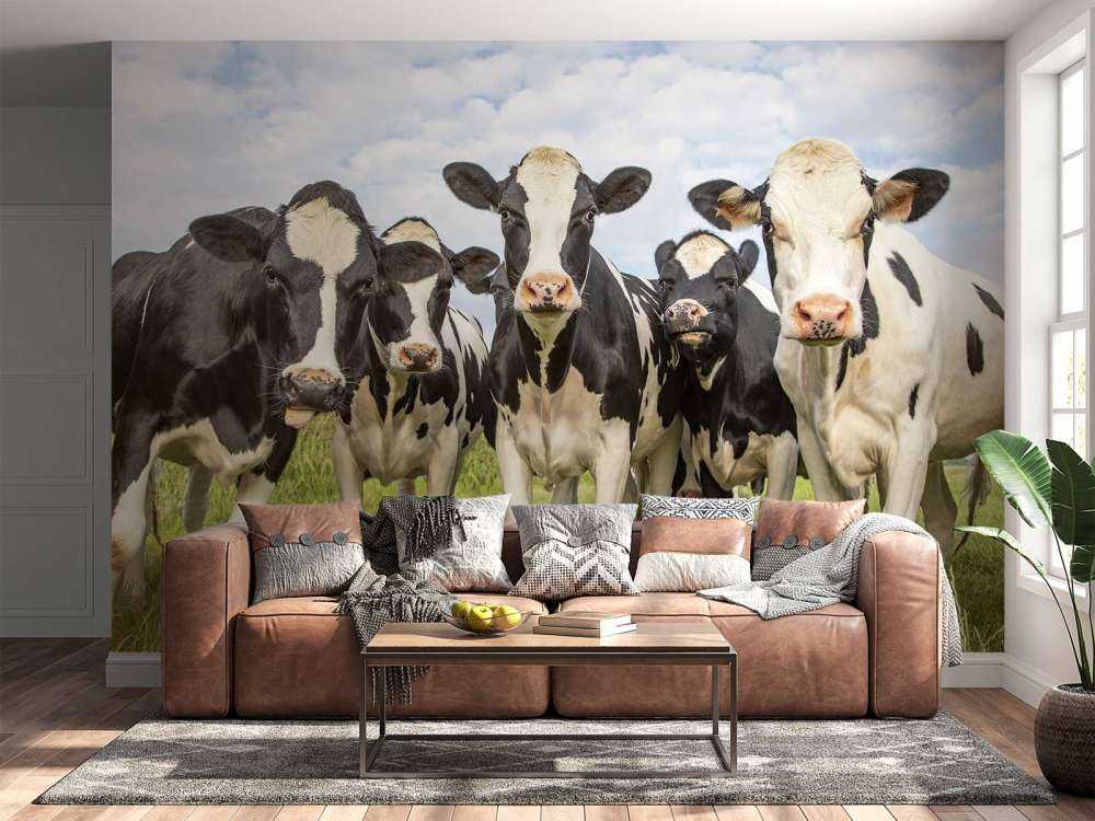 Herd with cows