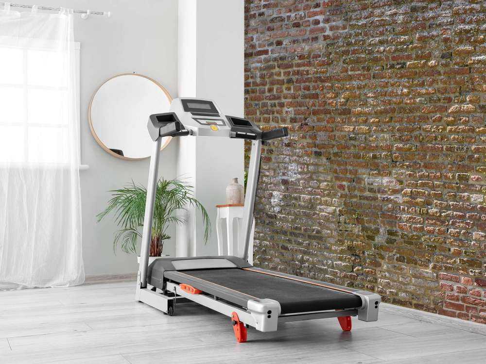 Old stone city wall with plants