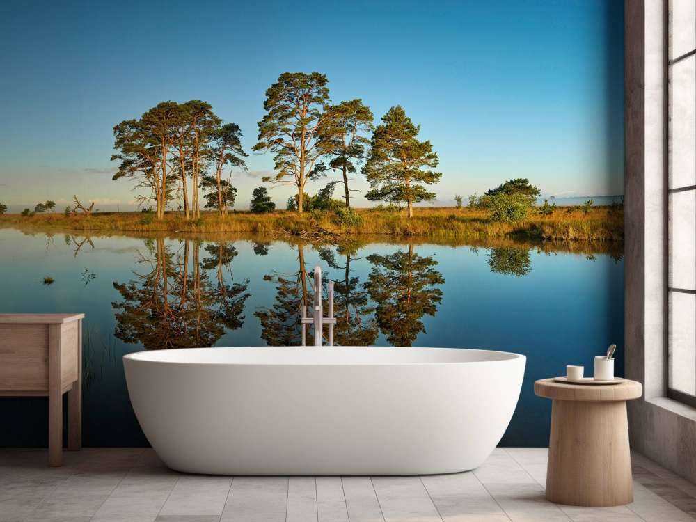 Reflection in forest lake