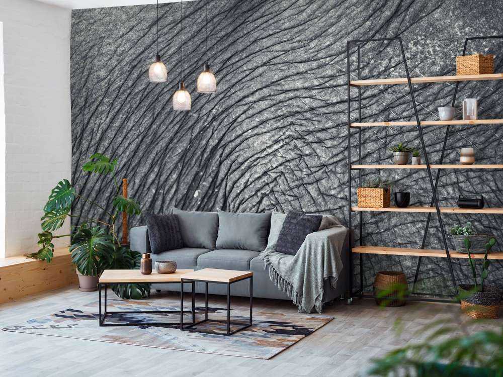 Close-up elephant skin